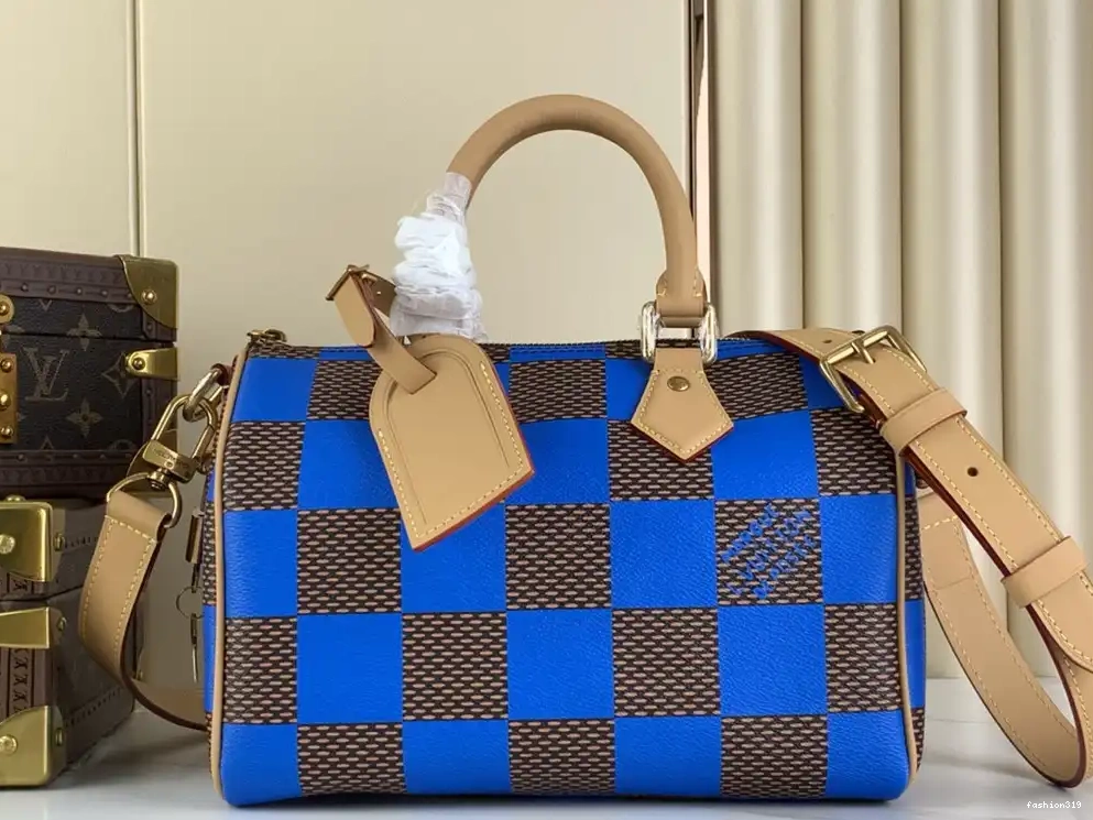 Louis SPEEDY Vuitton 25 0330
